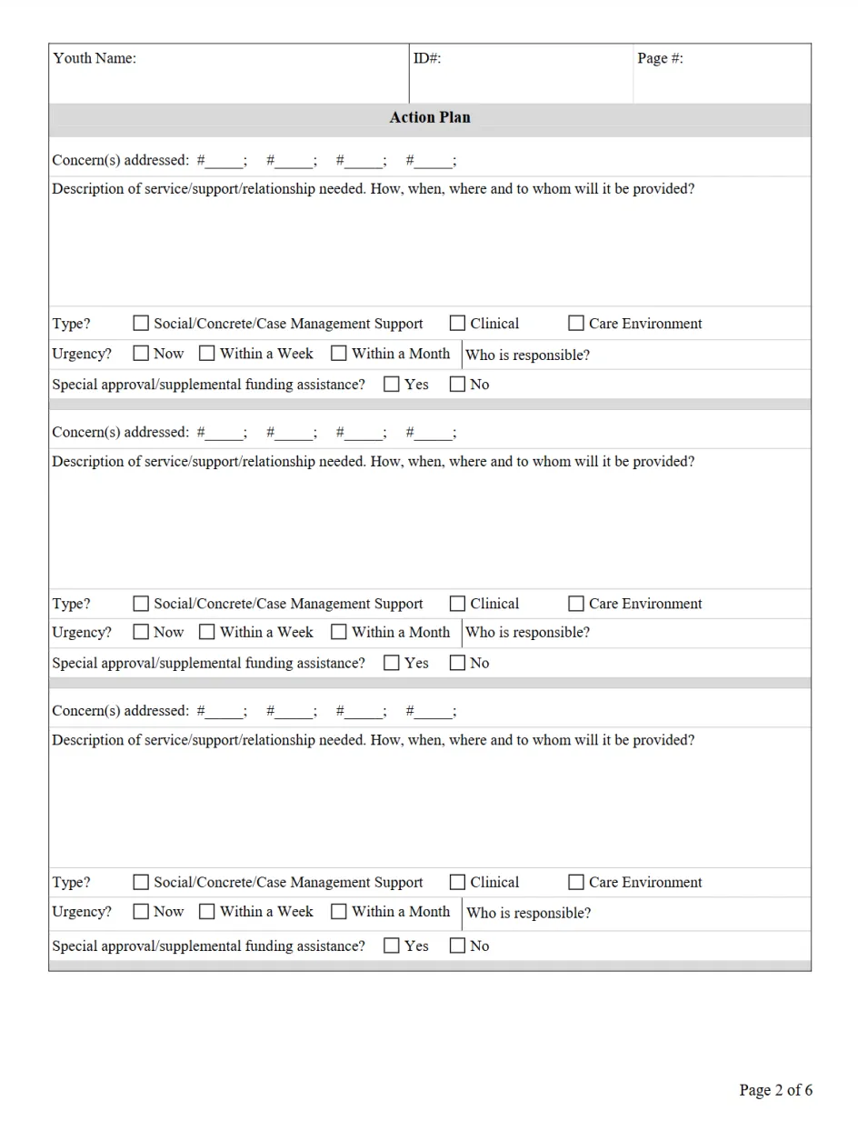 CLINICAL INTERVENTION FOR PLACEMENT PRESERVATION (CIPP) Action Plan (Page 2)