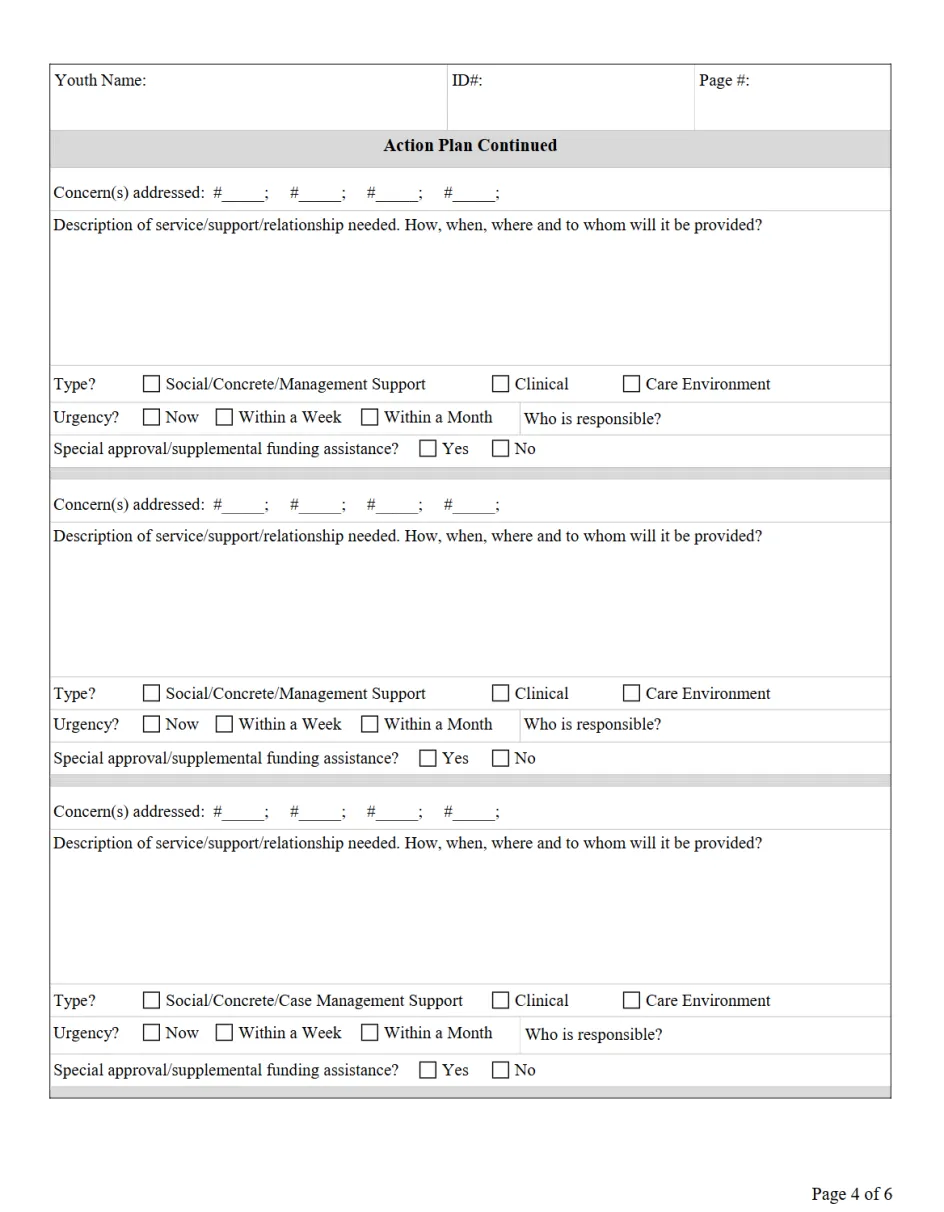 CLINICAL INTERVENTION FOR PLACEMENT PRESERVATION (CIPP) Action Plan (Page 4)